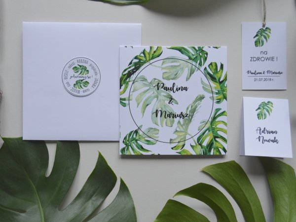 monstera