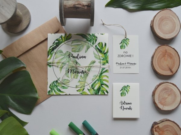 monstera